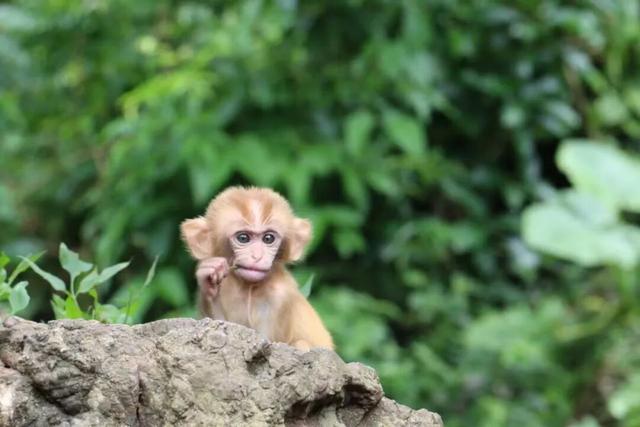 看戏游南宁，福利享不停！首届全国戏曲新人新作展演超全优惠指南来啦！