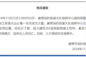 浙江一公寓发生火情，消防通报图片