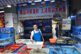 鲜活梭子蟹价格上涨，来自黄河口的大闸蟹也上市了图片