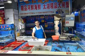 鲜活梭子蟹价格上涨，来自黄河口的大闸蟹也上市了图片
