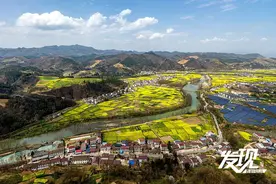 发现·春天里的陕西丨鸟瞰汉中勉县油菜花海图片