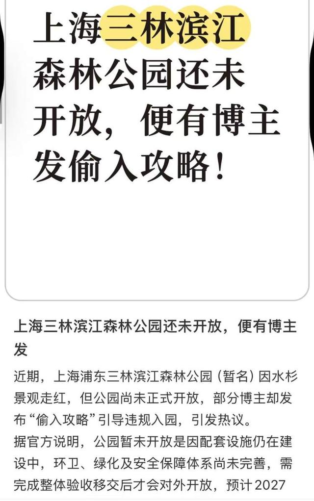 三林水森林未开先火，网络疯转“潜入攻略”！记者探访：确有不少游客；建设方：今年内完工，请静待开放