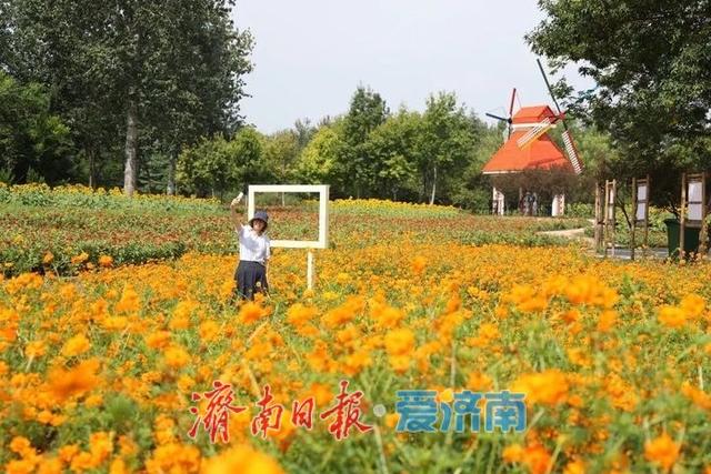 济南植物园初秋花浪正当时