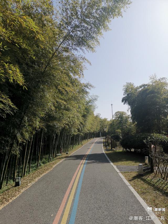 写点生活｜长兴水口疗养记