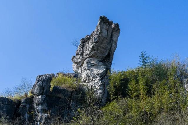 大自然的表情包！永兴风光里的“动物世界”