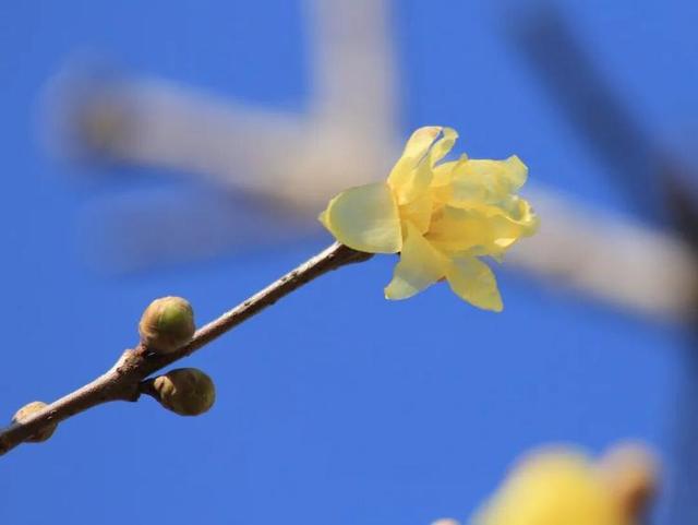 冬天，遇见不一样的潍坊！