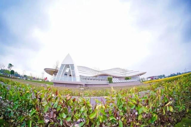 官方剧透！2026年元旦郫都一大波活动抢先看，精彩不重样~