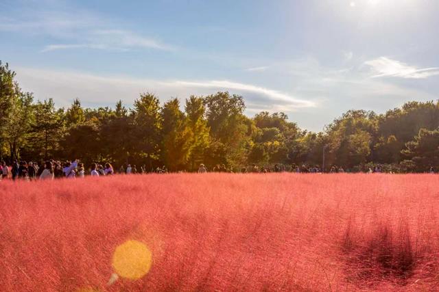万里无云，阳光正好！周末到公园欣赏北京的秋