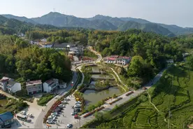 十年匠心结硕果 一路蝶变谱新章图片