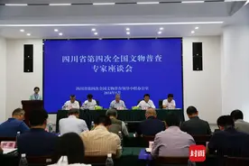 凝聚专业力量 四川省第四次全国文物普查专家库成立！图片