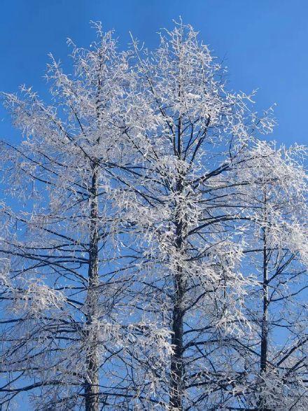 成都崇州即将迎来赏雪季啦！
