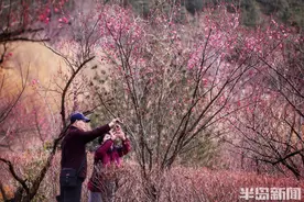 “梅”好三月图片