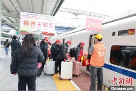 广西柳州494名务工人员免费搭乘动车专列赴粤返岗图片