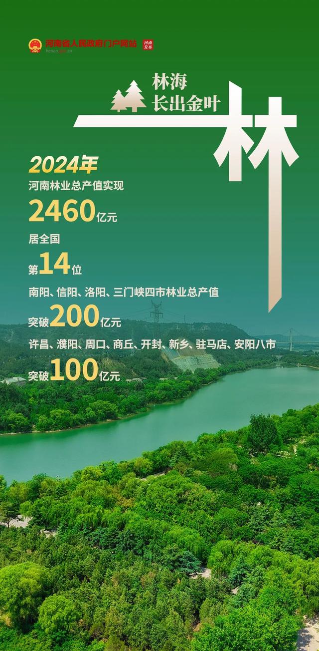 追青逐绿看河南→