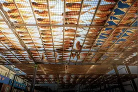 晒鱼，解锁青岛专属的入冬仪式图片