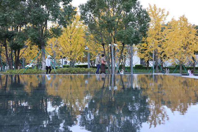 美景叠加禅意：龙华寺成为上海热门赏秋胜地