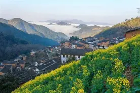 大黄山建设 || 大黄山的N个小美好图片