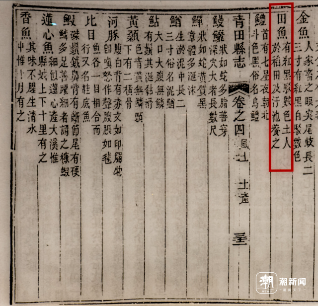 走进青田稻鱼共生博物馆，解码千年江南稻作密码