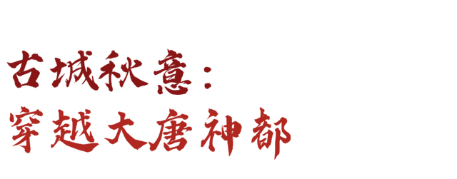 秋景大片都没看，洛阳的秋天，这就结束了？