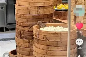 热闻|视频疯传！老鼠爬到知名餐厅蒸笼里啃食，餐厅紧急回应：涉事员工已停职图片