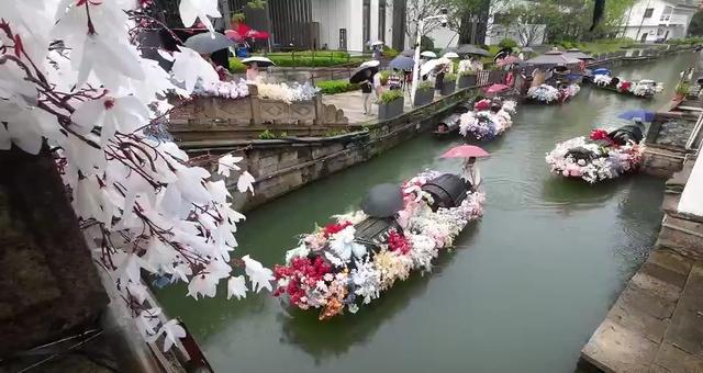 亲“荷”力满分！浙江“荷花经济”绽放暑期新亮点