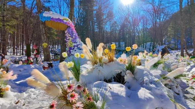 错过等一年！这个冬天，来嵩县“嗨皮”一圈！