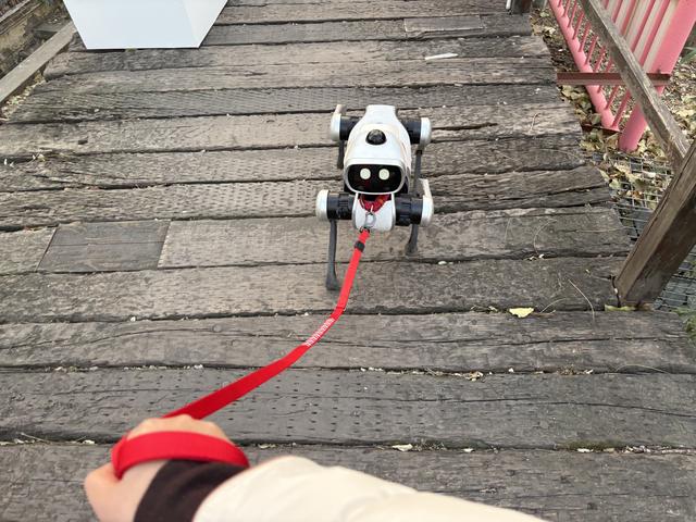 万元级消费机器狗走到家门口，真正的考验才刚开始