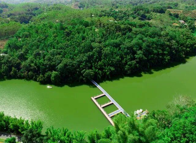 上分了！ 钦州这条线路入选2026广西春节假期户外运动精品线路