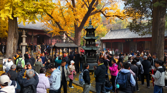 热门消息-秋天限制美景已上线，济南邀您共赴金秋之约(3)