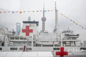北外滩停靠万吨级舰船，你看到了吗？图片