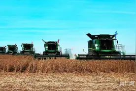 内蒙古粮食产量有望突破800亿斤  实现“二十一连丰”图片