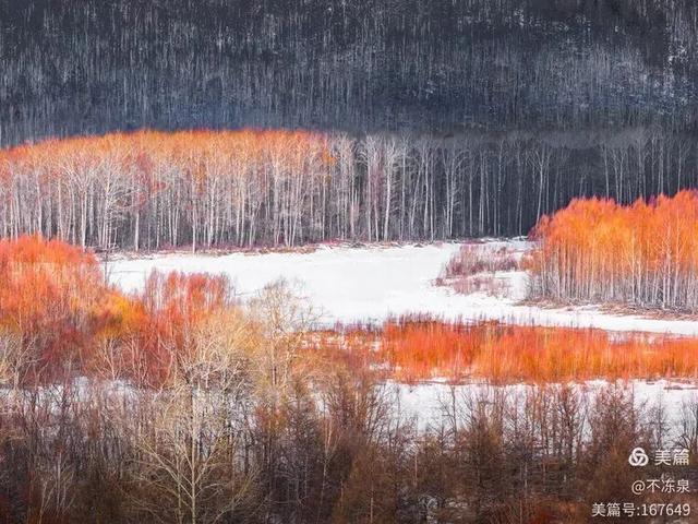 冷极秘境——2025年呼中的冬雪魅景