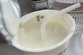 卡士酸奶内有霉斑，吃了“又吐又拉”？卡士回应图片