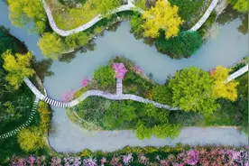 校外人士与学生冲突事件发生后，上海交大再回应：不会因此关闭校园图片