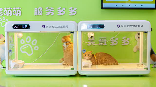 中国移动布局宠物科技，“移动爱宠”开启智慧养宠新时代