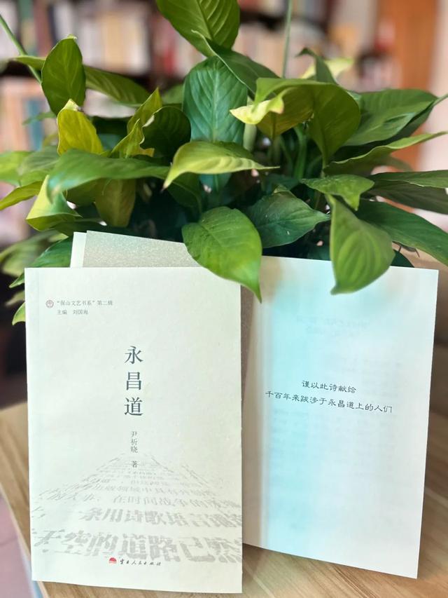 一条道、一个人和许多人