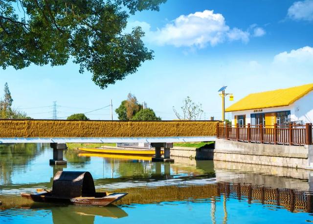 碧水黛瓦织锦绣！这个上海小镇，把江南诗篇写进了现实