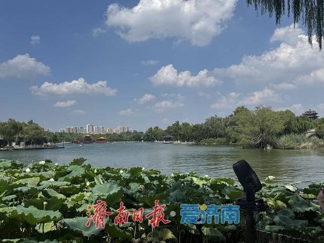 一年四季 泉在济南丨初秋大明湖：蓝天白云相映 画卷徐徐展开