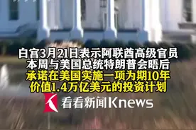 豪掷万亿“输血”美国？阿联酋承诺向美投资1.4万亿美元图片