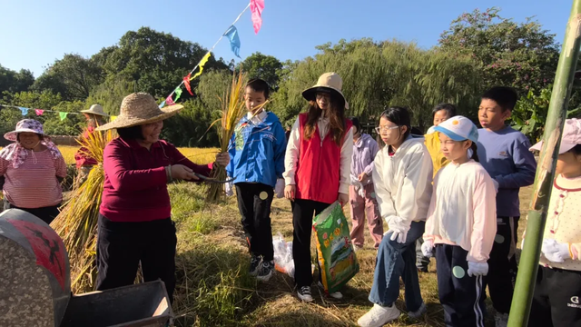割禾体验、拾秋徒步……里水11月活动精彩瞬间→