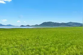 千城胜景｜河北秦皇岛：台营草原 畅享自然图片