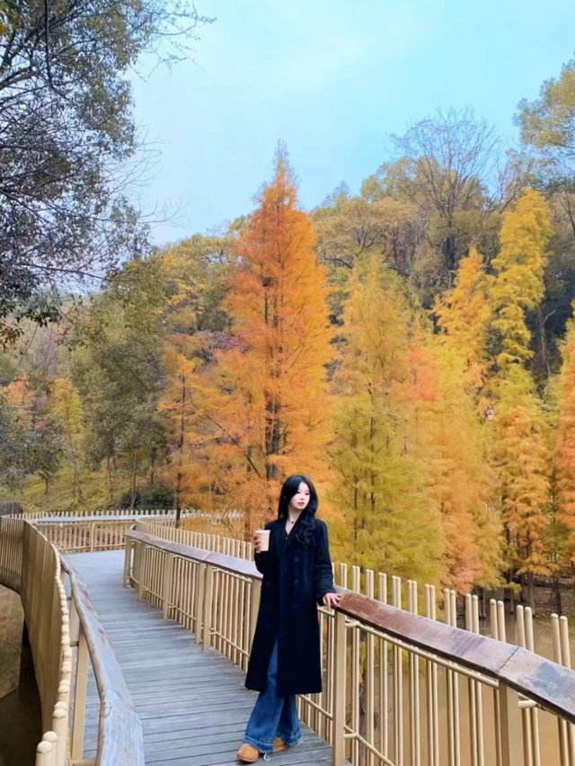 如画江西的冬日惊喜，是什么样子的？