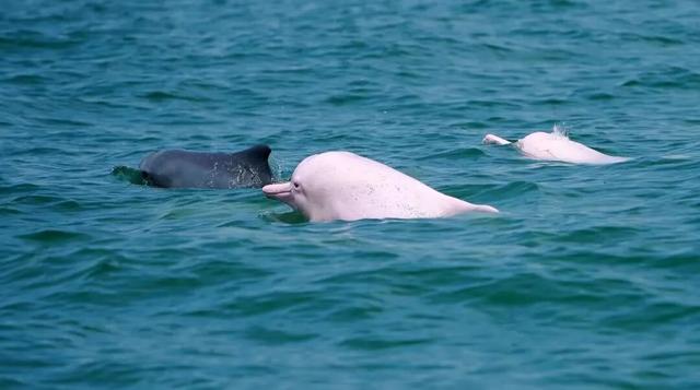 点我！6条精品线路带你爽玩蚝情之旅~