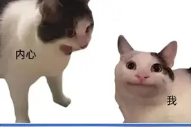 多少00后用「猫Meme」勇闯职场？图片