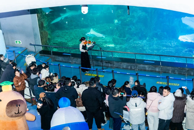 青岛冬日十大消费场景，把一月玩出花样~