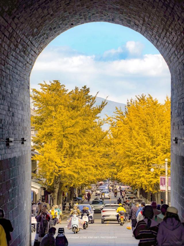 网友不建议推广？来大理，给你“镀层金”