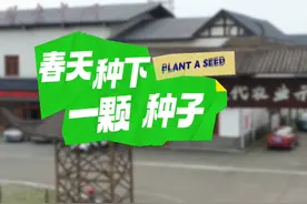 春天种下一颗种子｜天府粮仓·一块田⑤图片