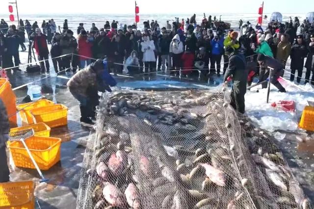 今冬必火！呼和浩特冰雪季300+玩法太顶了