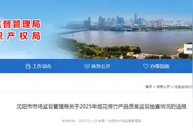 沈阳市市场监督管理局通报2025年烟花爆竹产品质量监督抽查情况图片