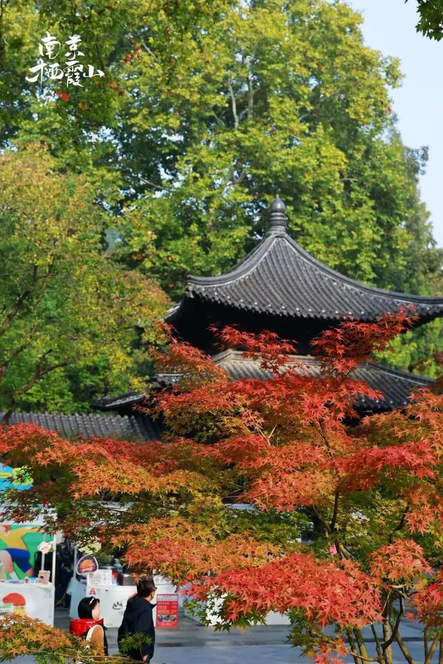 “今天我去栖霞山了！”